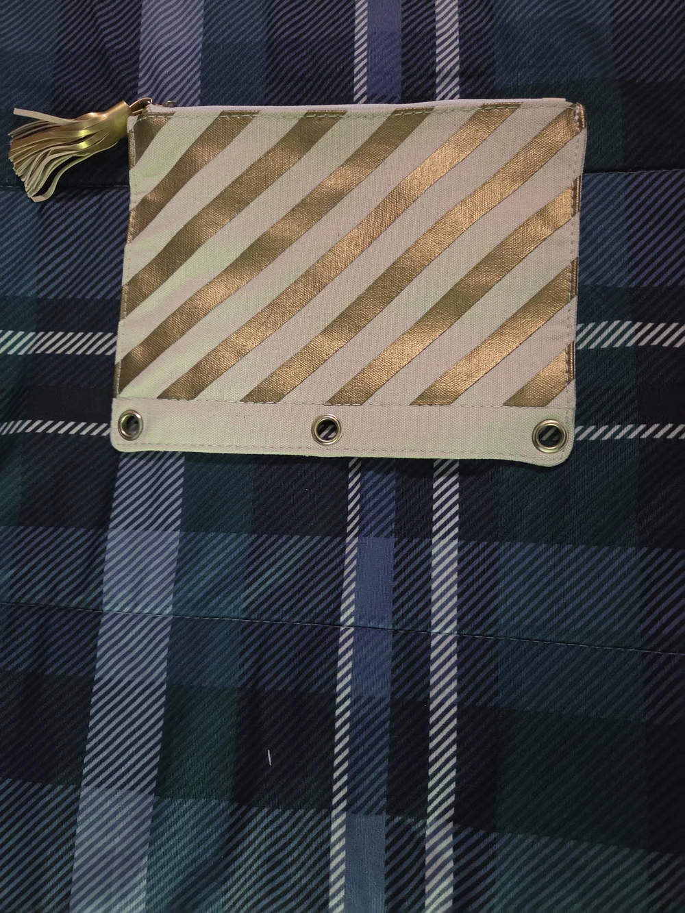 Striped Gold and Cream Pencil Case